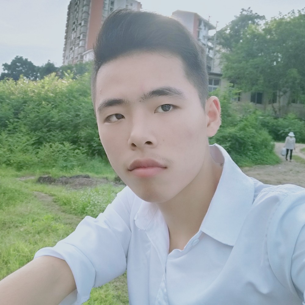 哈密瓜漫步漠然的照片