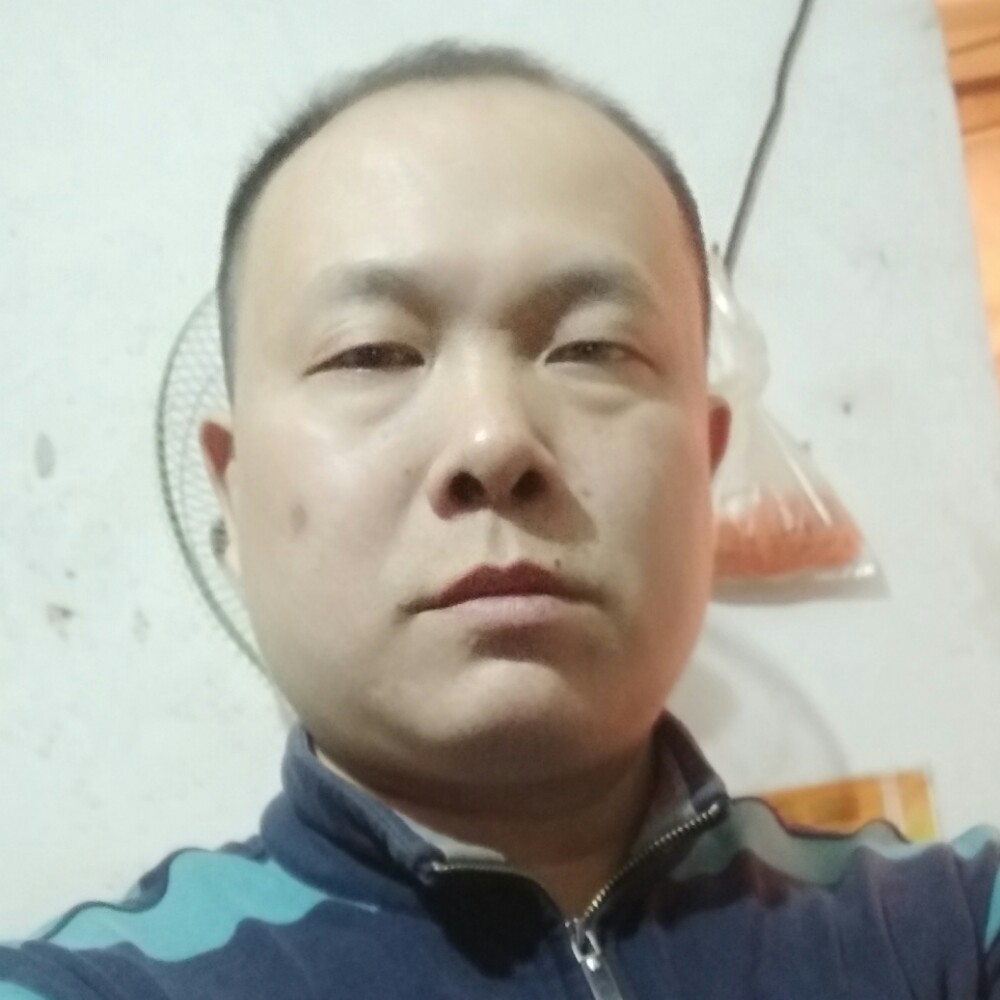 期待向淡淡的照片