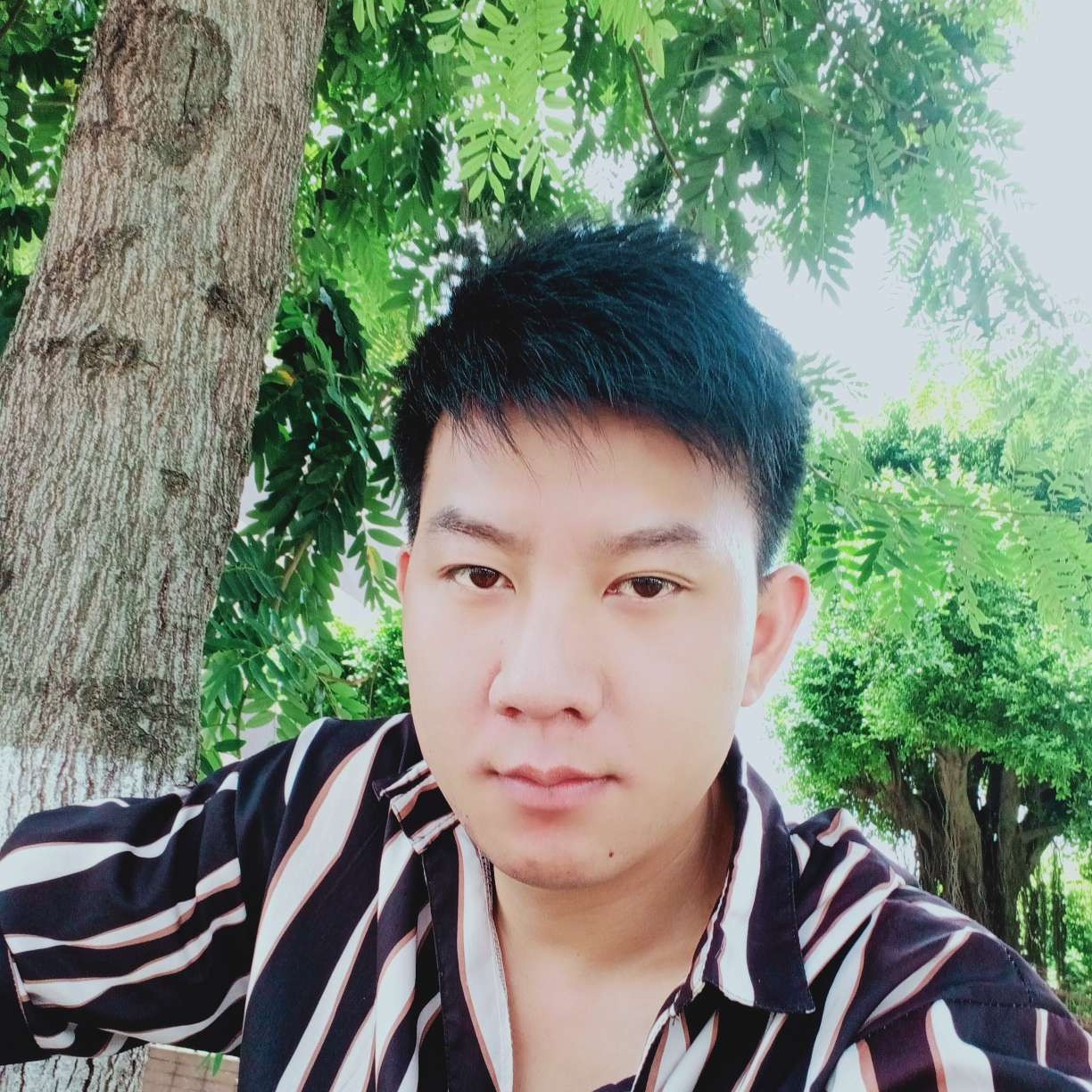 碧影蹙眉迅速的照片