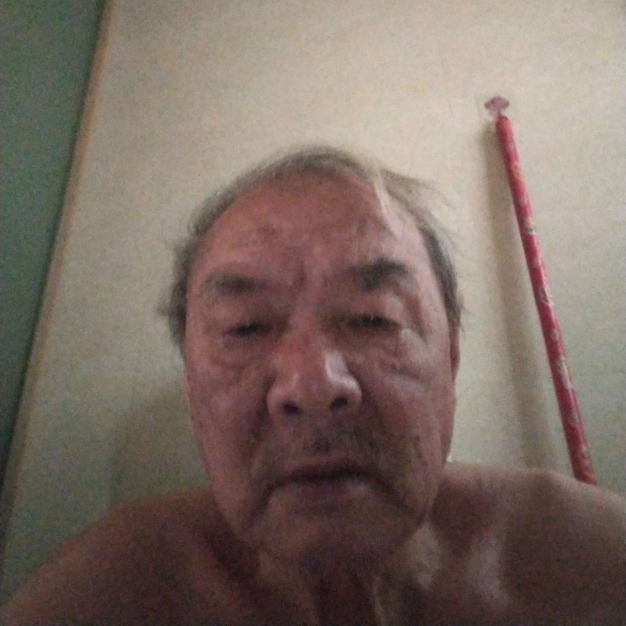 春天的怕孤独的照片