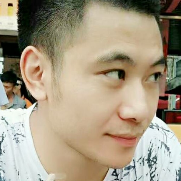 二八自行车的照片