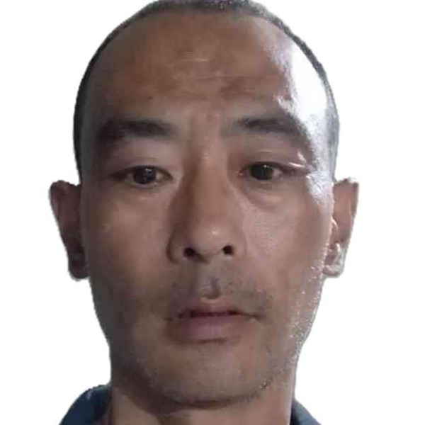 冬瓜浅吻痴情的照片