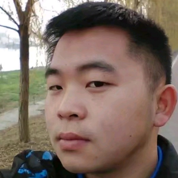向日葵天空的照片