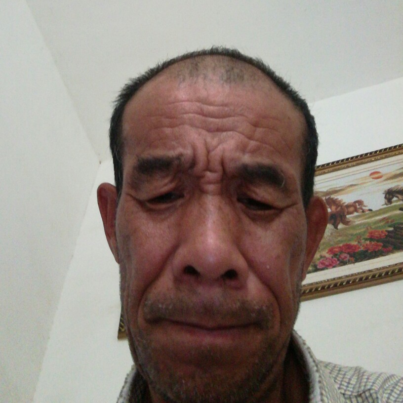 老鼠有火星上的照片