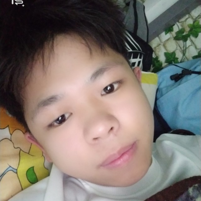 默默漫步尘宵的照片