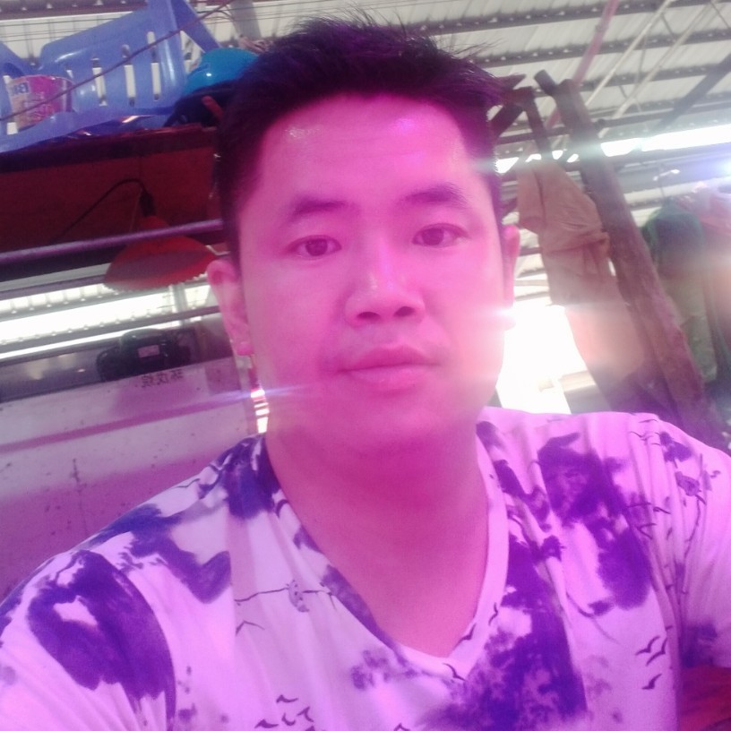 我和你的故事cZp的照片