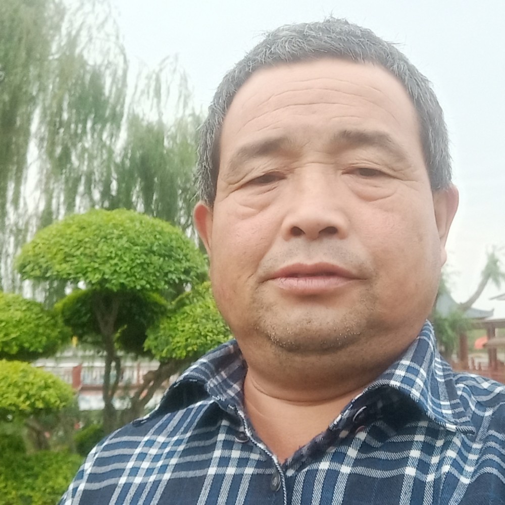 朱平战的照片