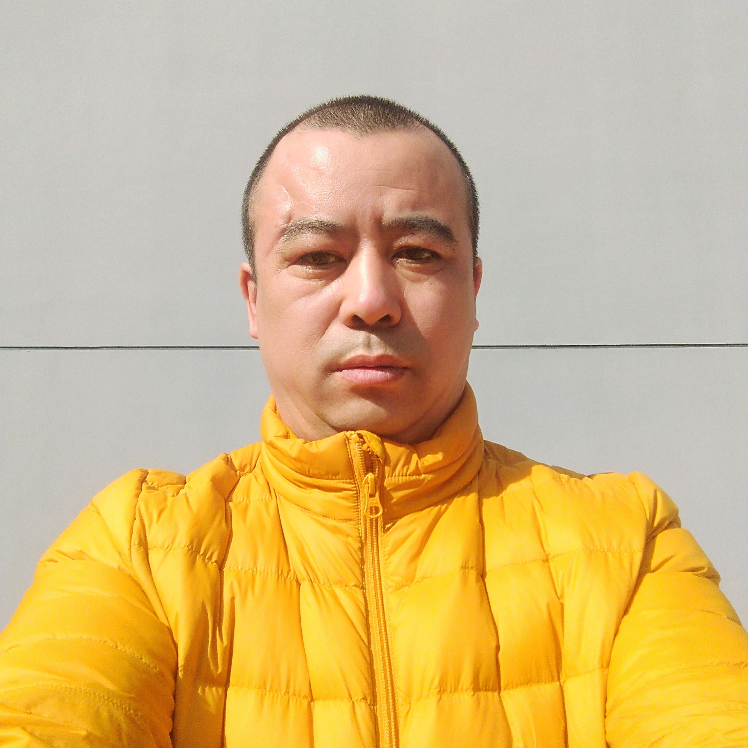 鱼多么无私的照片