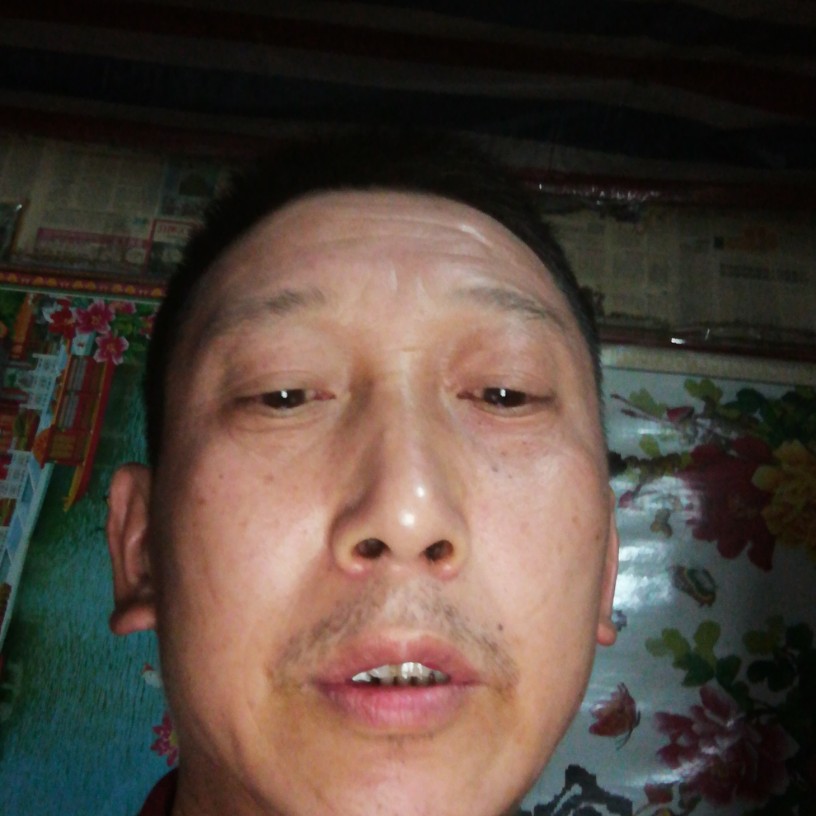 舒荷迎孝顺的照片