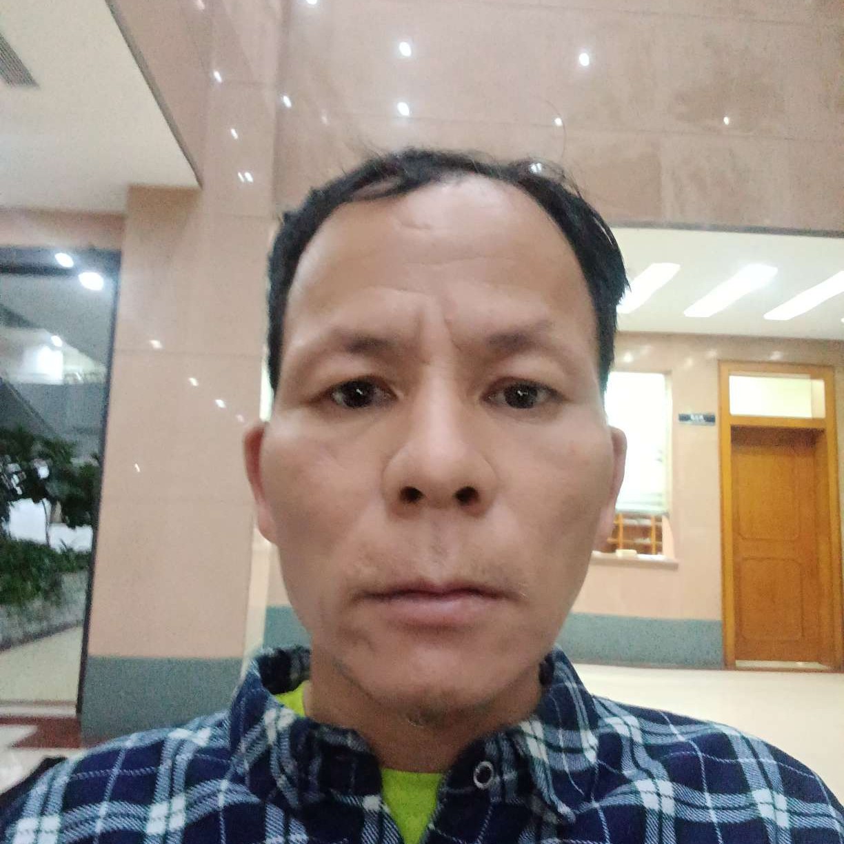 老鼠爱恋风趣的照片