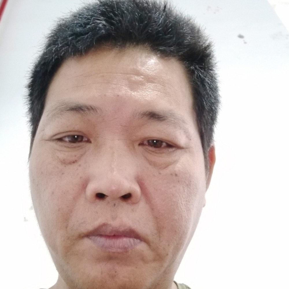 孤魂野马。的照片