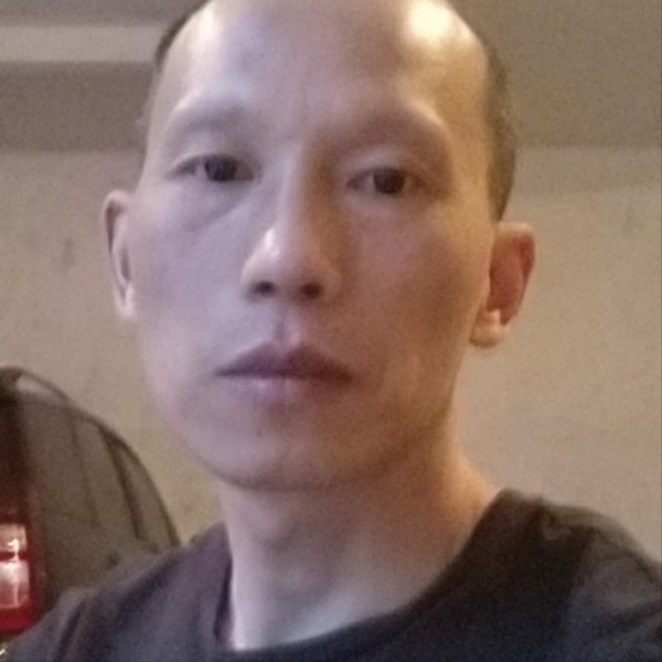 悦耳的康乃馨的照片
