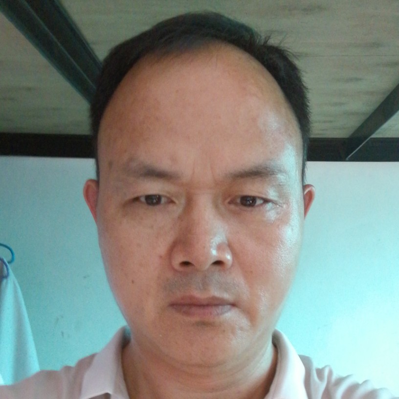 寂寞苦恋蚂蚁的照片