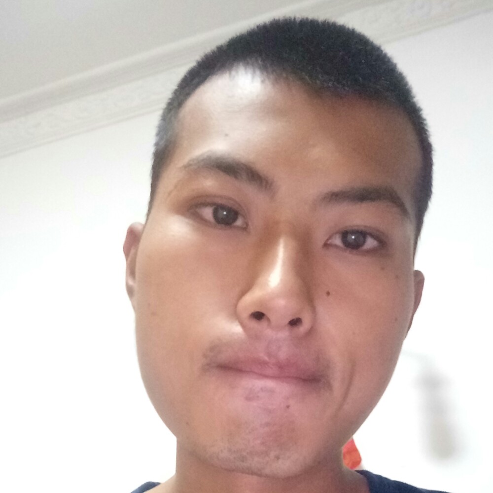淡定踢鼠标的照片