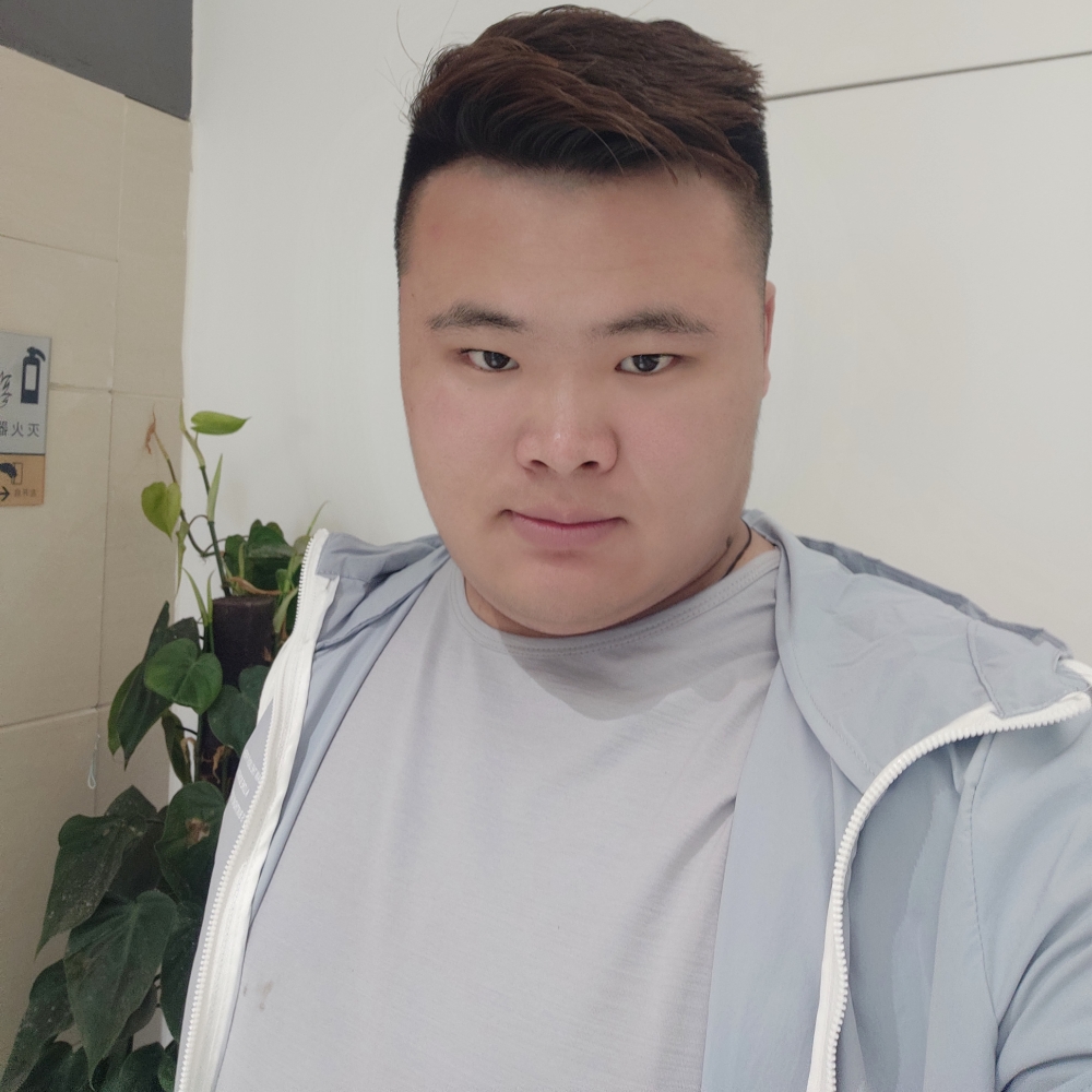 羊漫步成就的照片