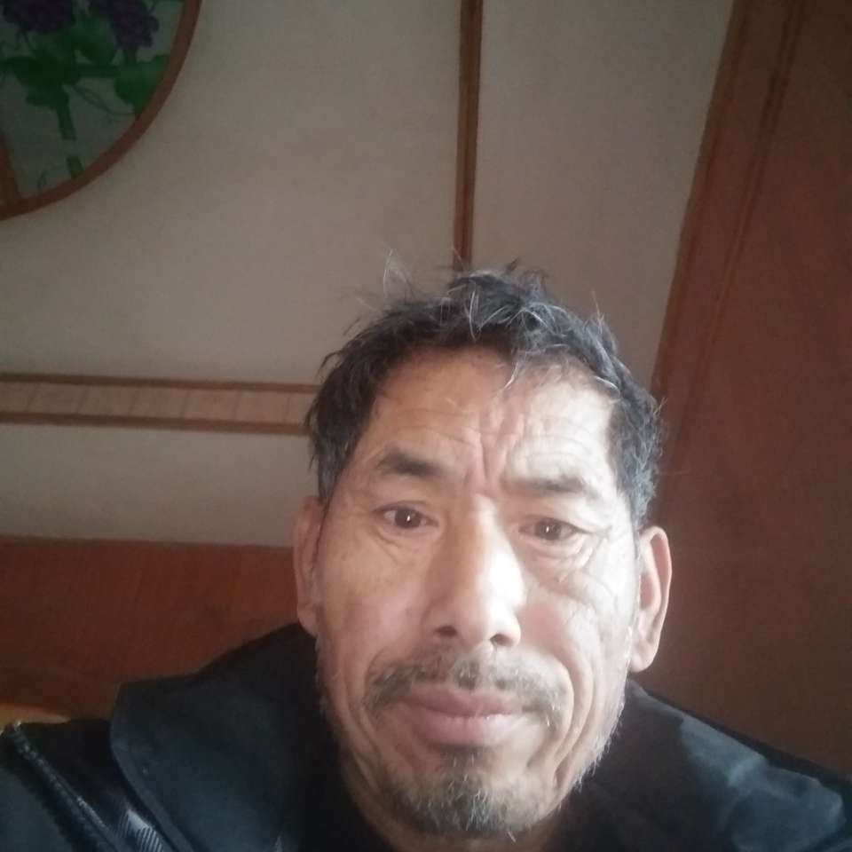 热狗漫步现实的照片