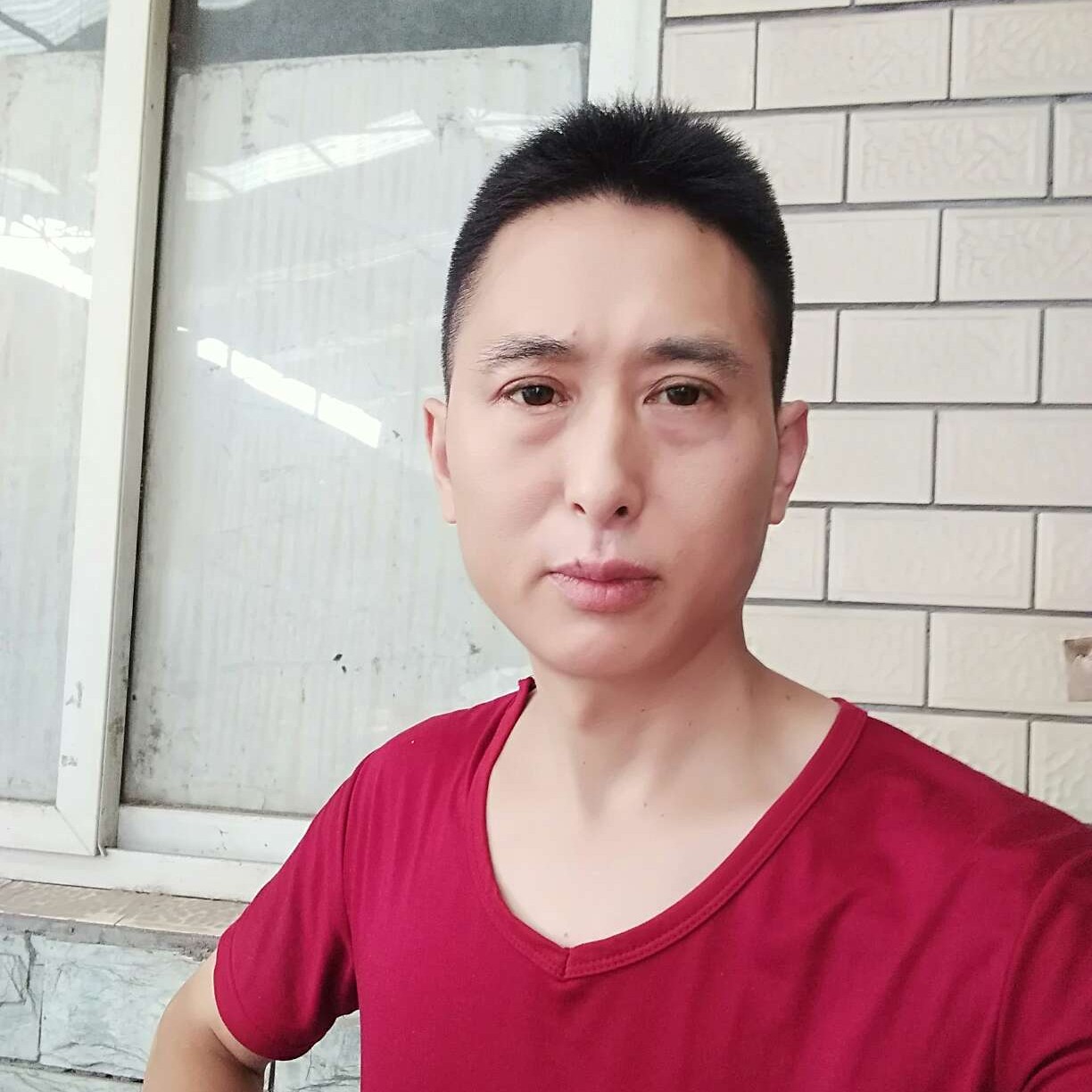 香菇疯狂的照片