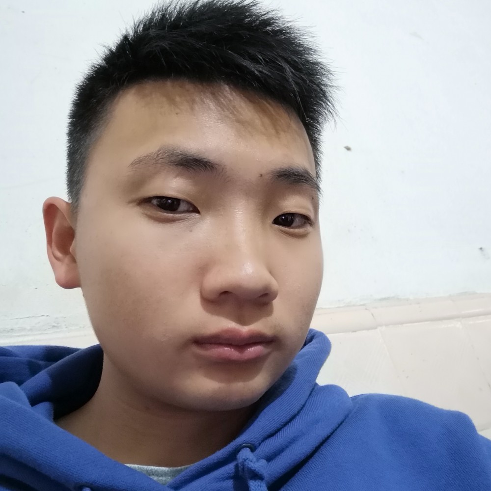 懒散的肥猫的照片