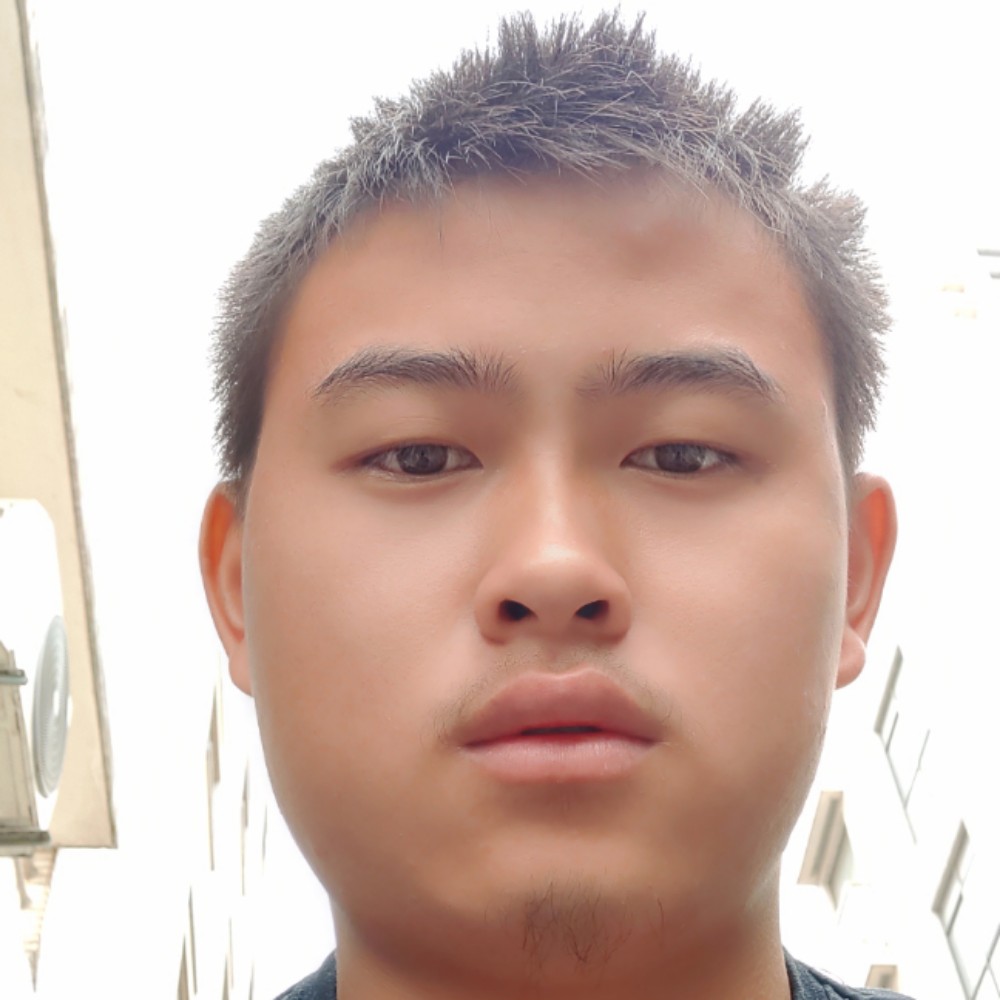 暗夜春风的照片