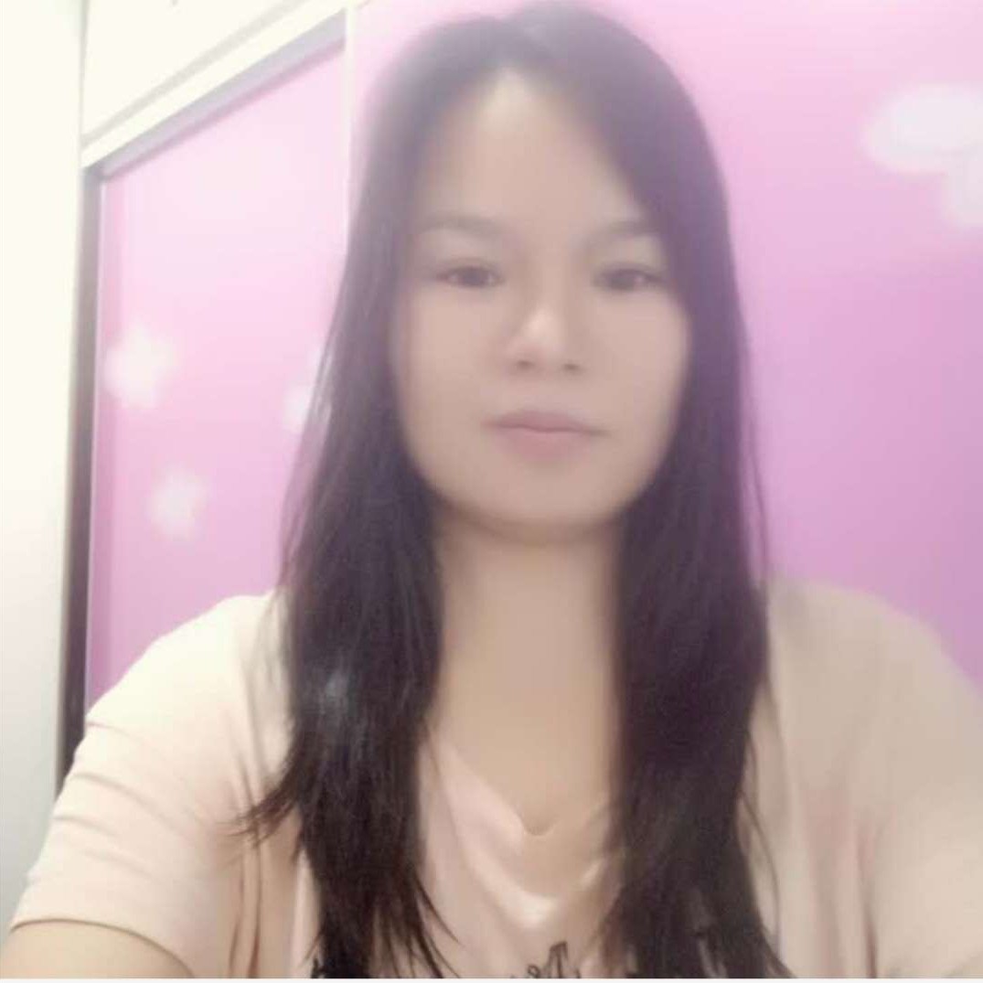 心向阳花的照片