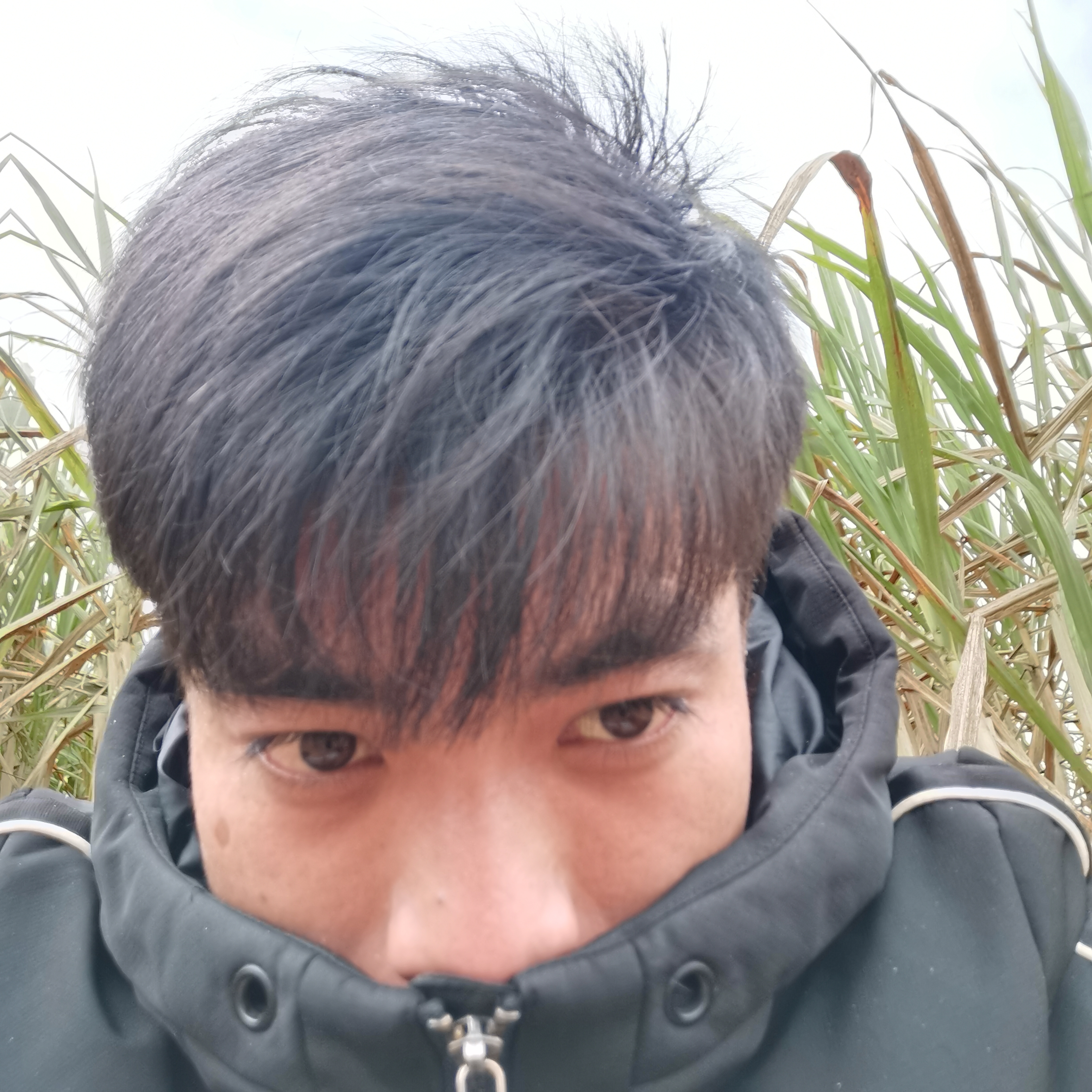 慈祥还流影的照片
