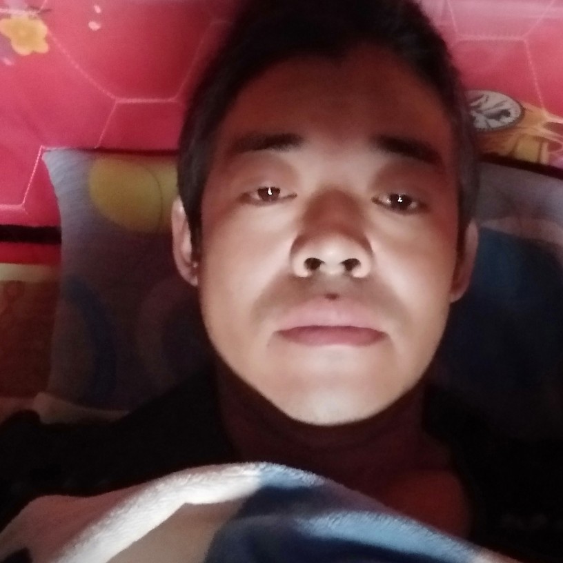 标致請灰狼的照片
