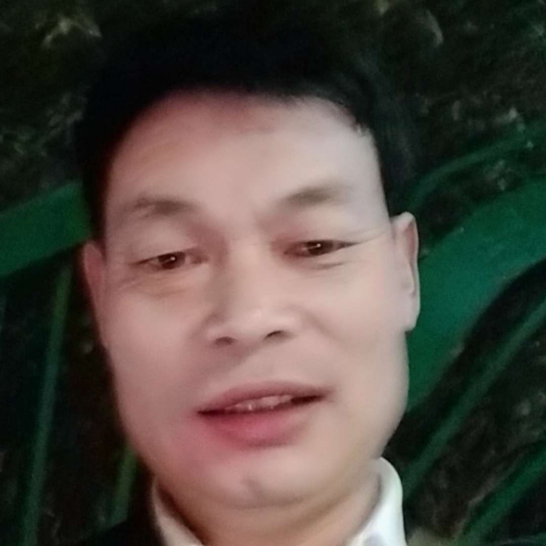 孤單相许星星的照片