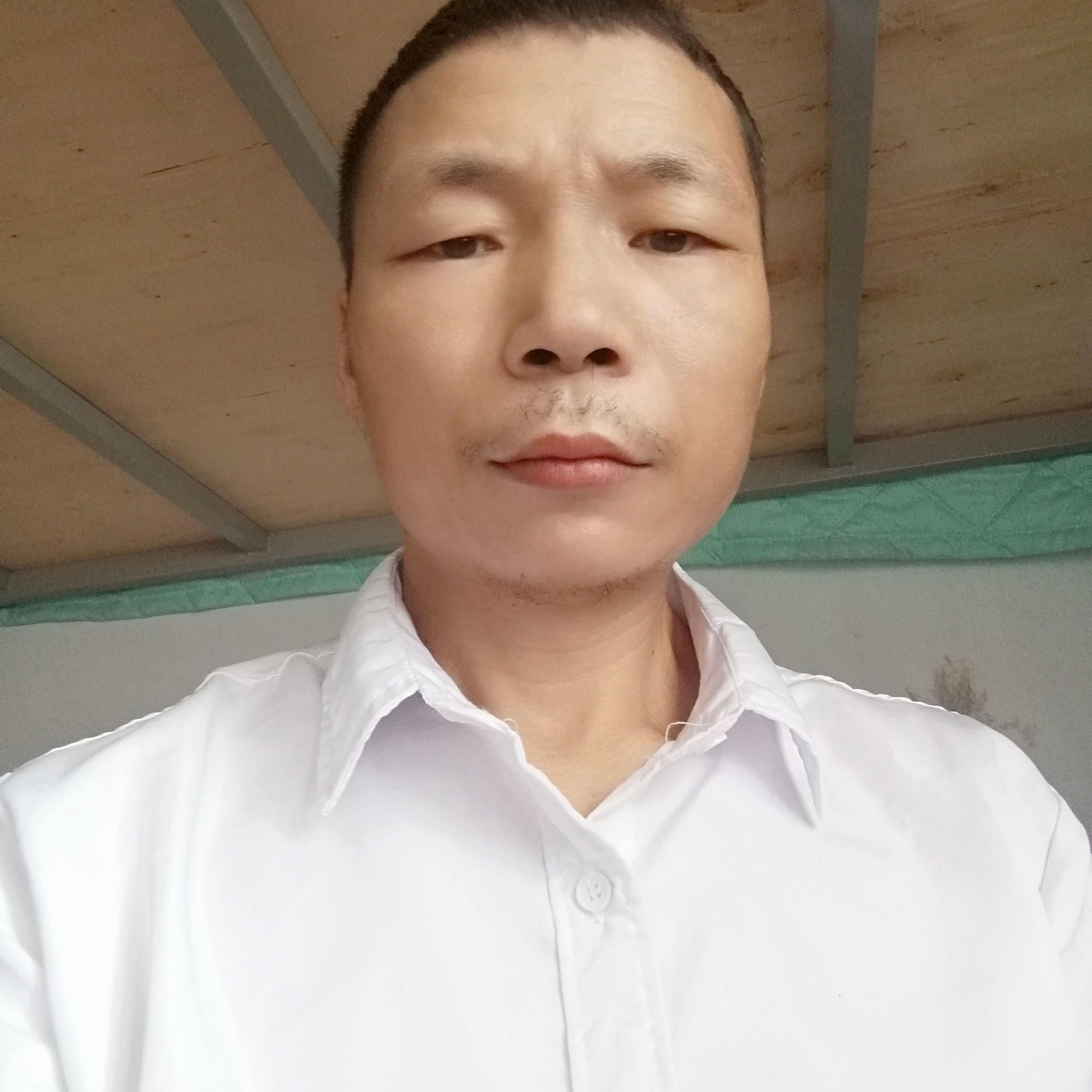 淡定倾心啤酒的照片