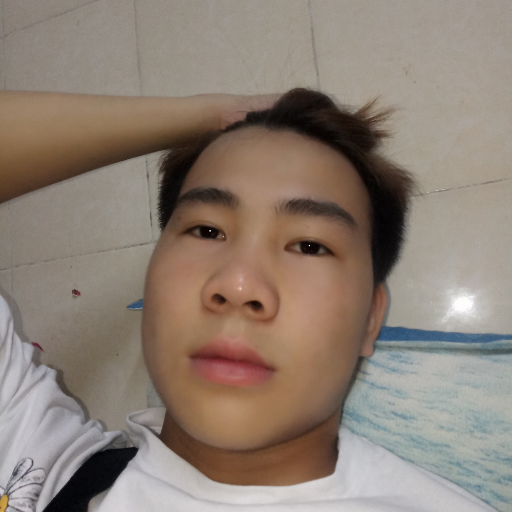 南方的孤独的照片