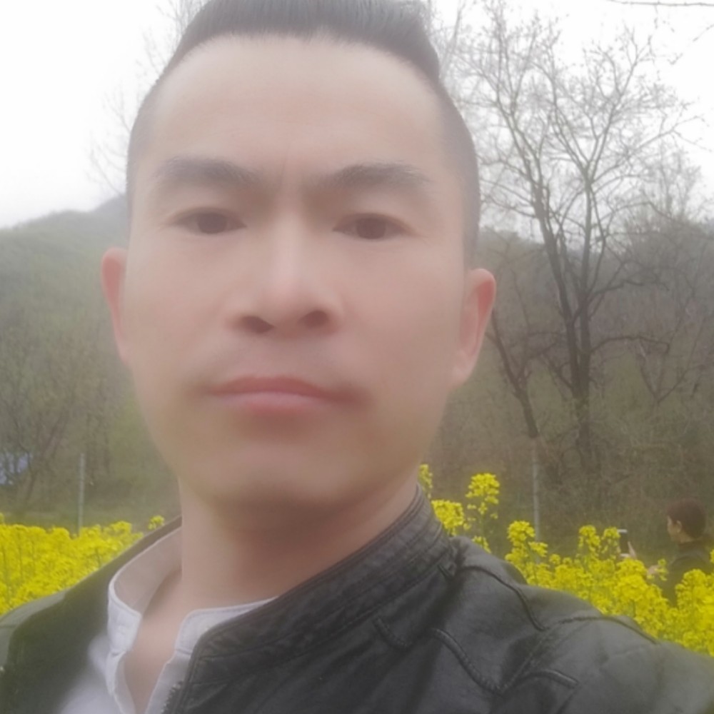 北海旧梦醉人心的照片