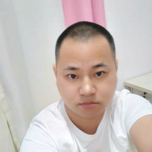 聪明寒风的照片
