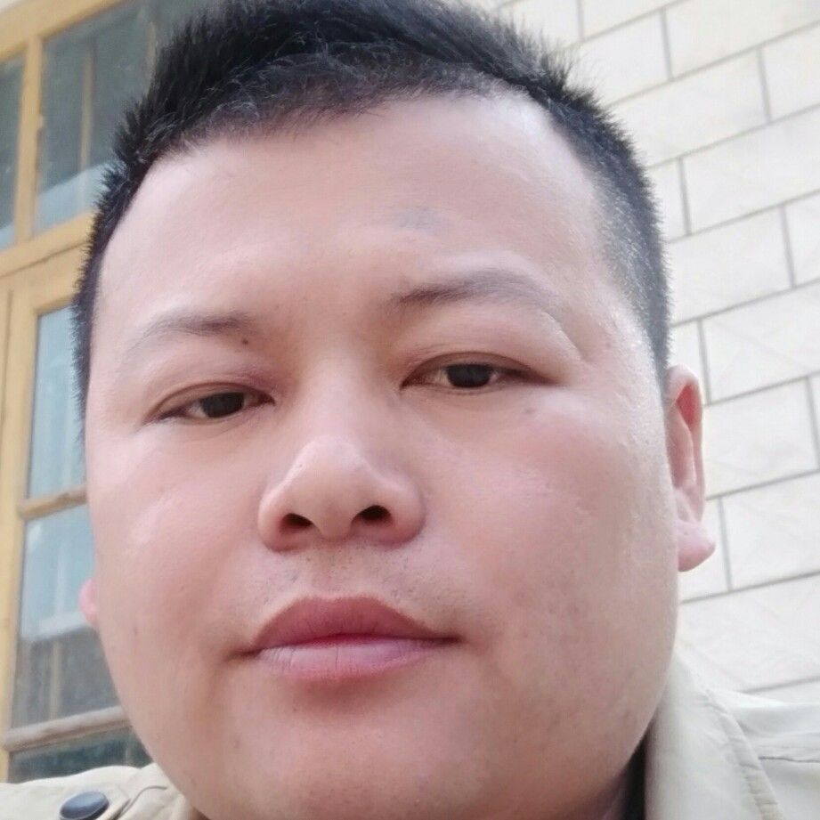 我们的邂逅羽毛的照片