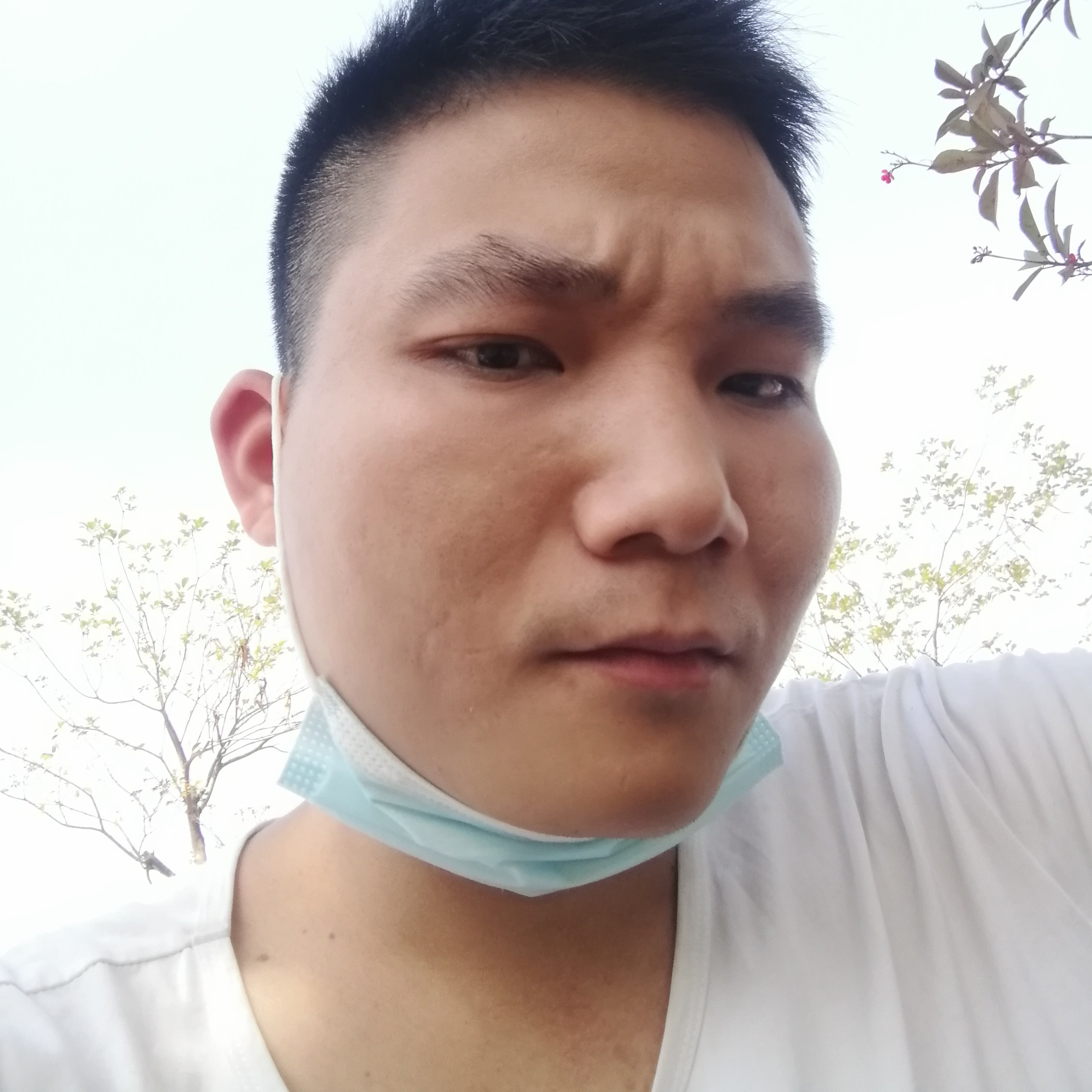我主英辰的照片