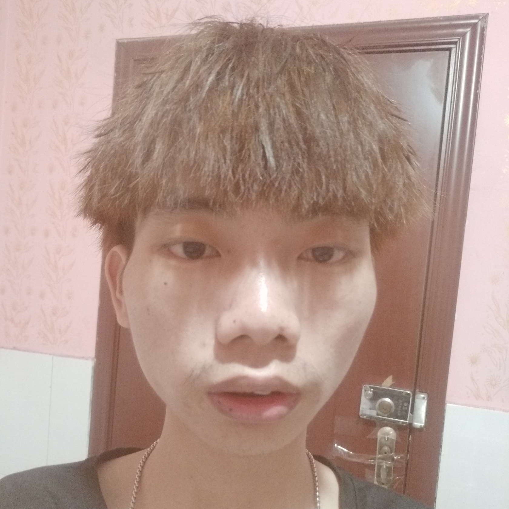 纸鹤霸气的照片