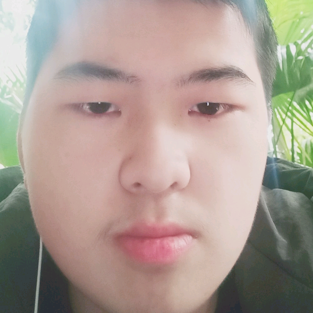 小鸽子停止天真的照片