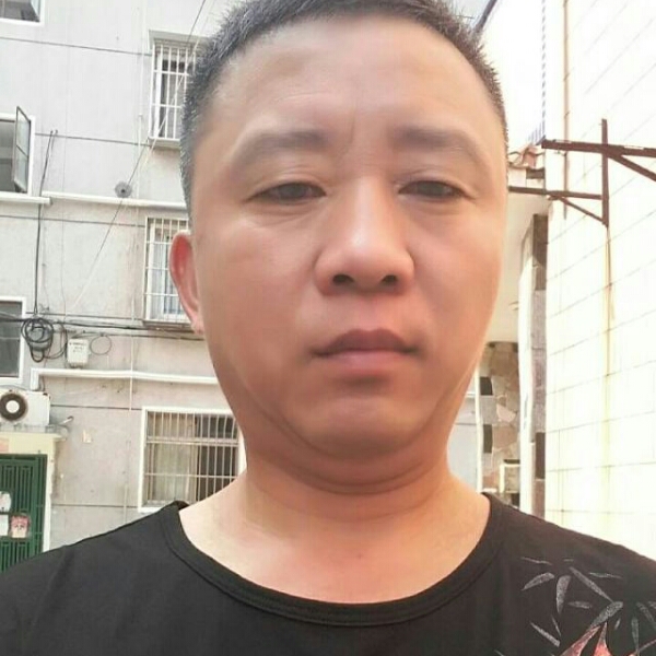 冷酷斑马的照片