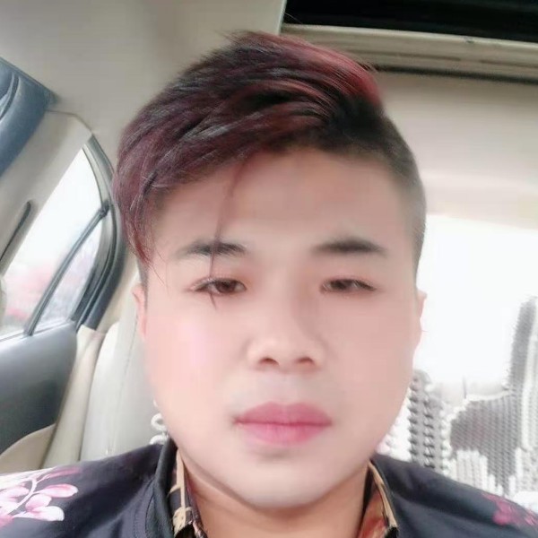蚂蚁牵手的照片