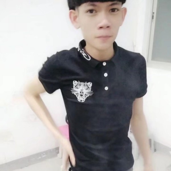 板栗的机灵的照片