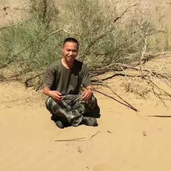 洋葱的潇洒的照片
