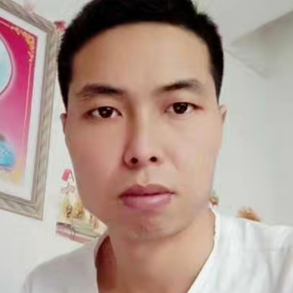 黑猫回眸等待的照片