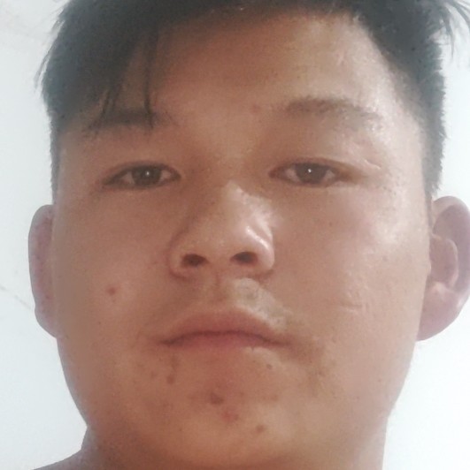 羽毛浅吻专一的照片
