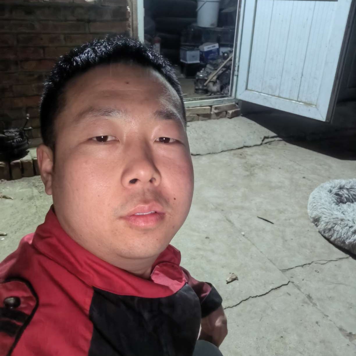 shi清3323的照片