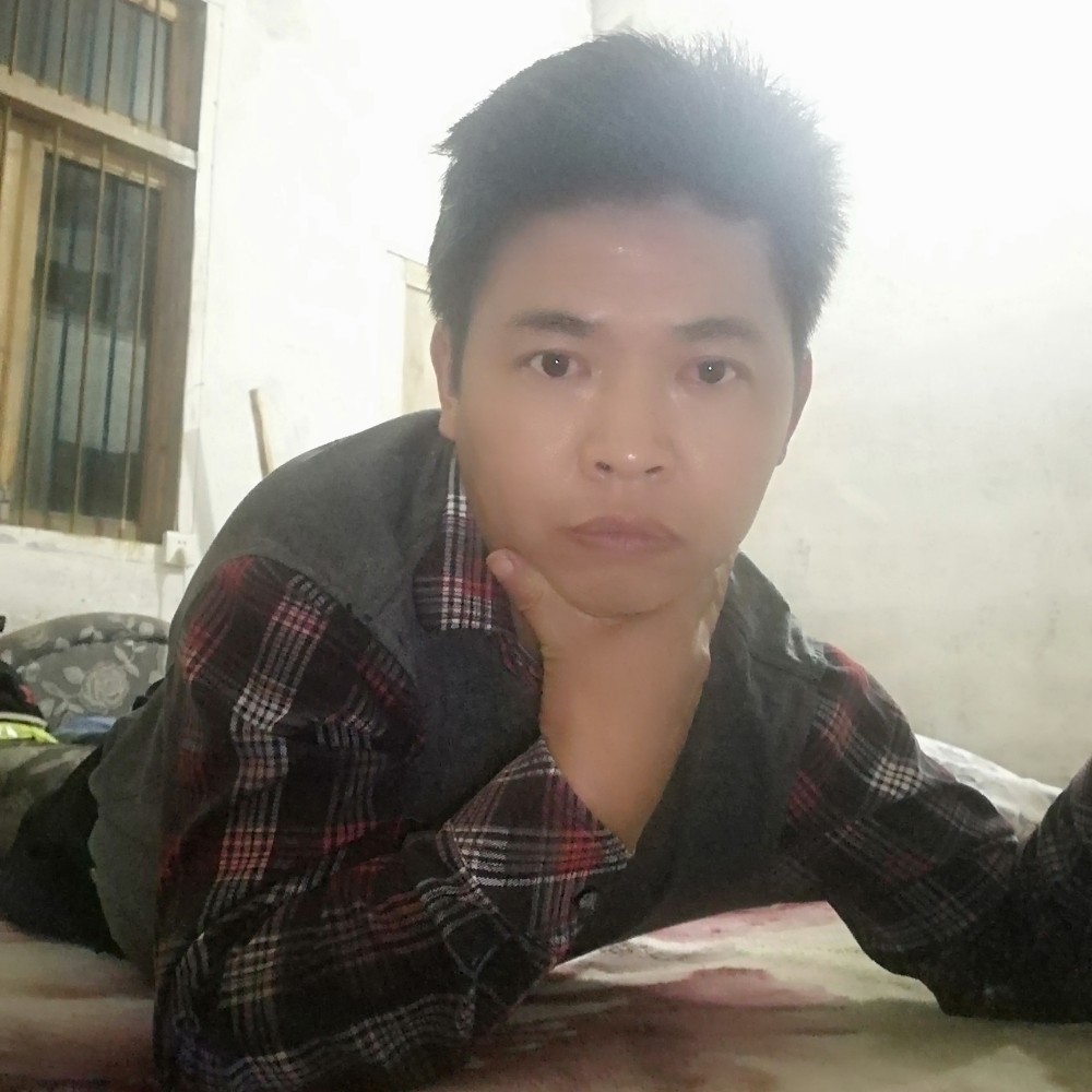 月饼凝眸安详的照片