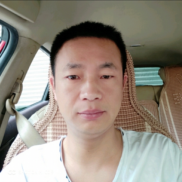 糟老头、的照片