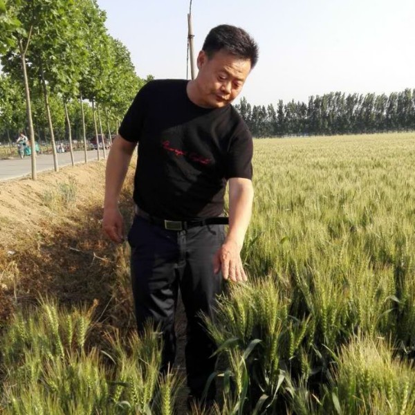 会员391717381的照片