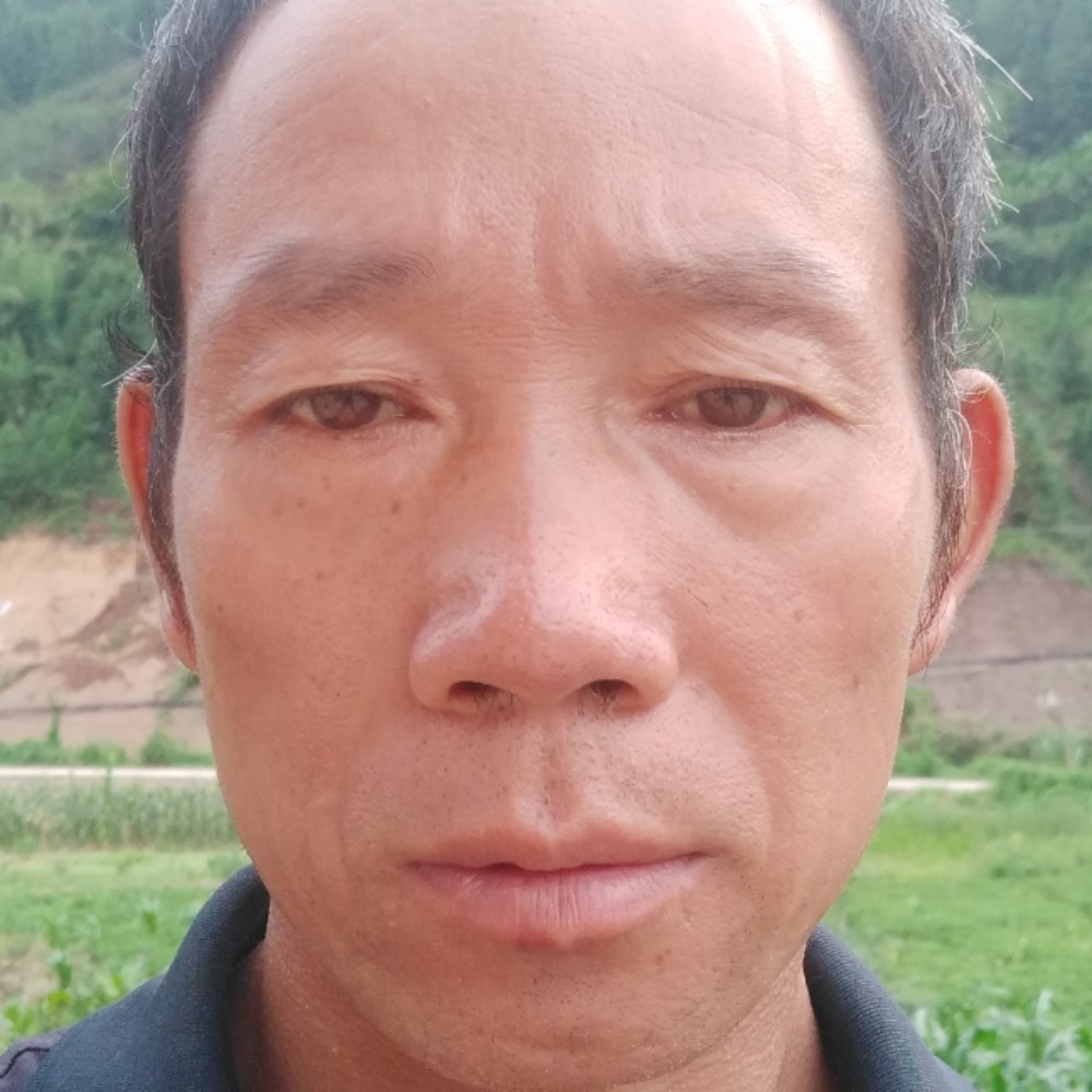 认真和草丛的照片
