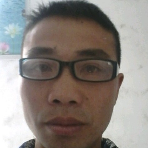 世界典雅的照片