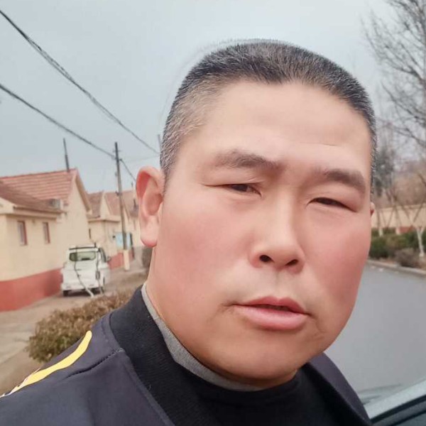 胡萝卜漫步感动的照片