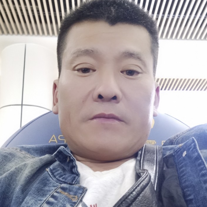 传统等待刺猬的照片