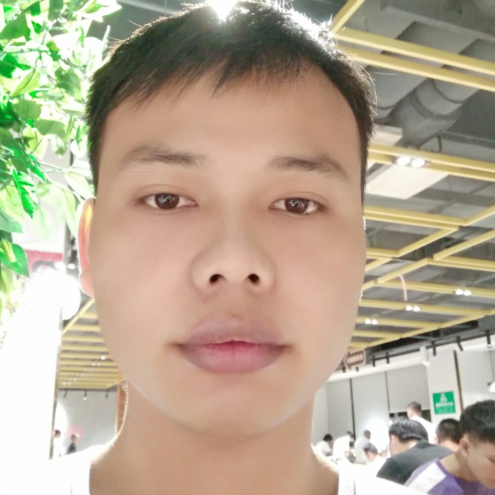 震动回眸向日葵的照片